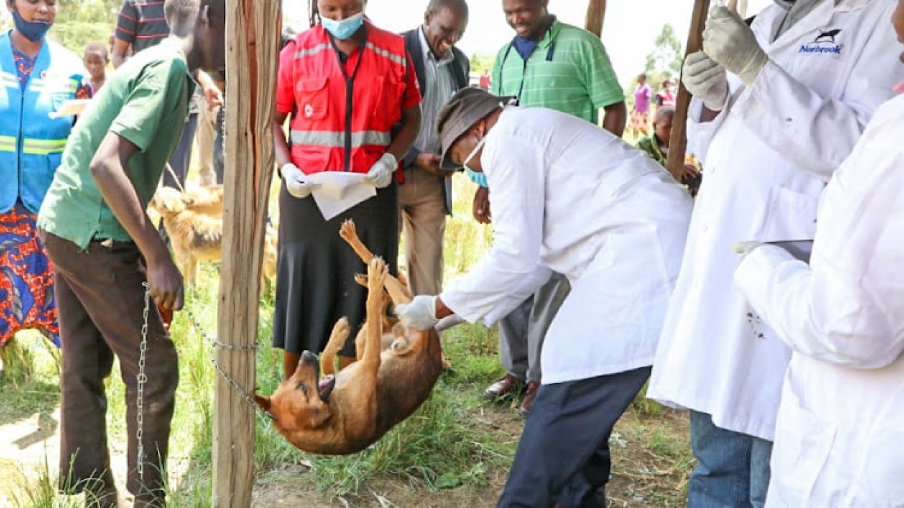 Everyone’s effort is needed in fight against zoonotic diseases – Dr Ronald Sang