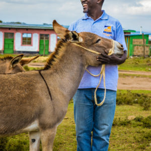 Kendat Donkey Rights Kenya-DSC_4384_edited